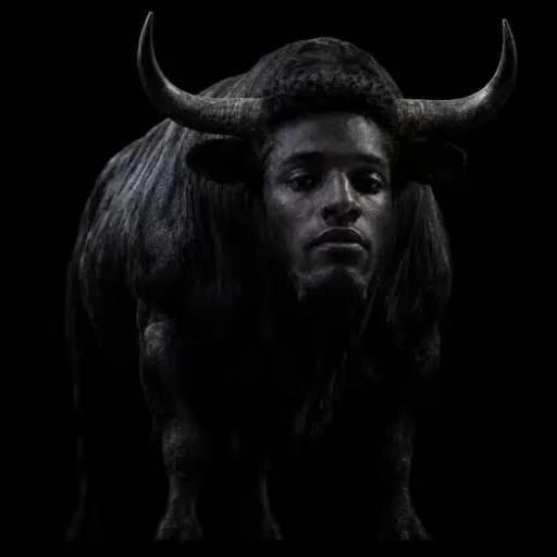 ansem pfp